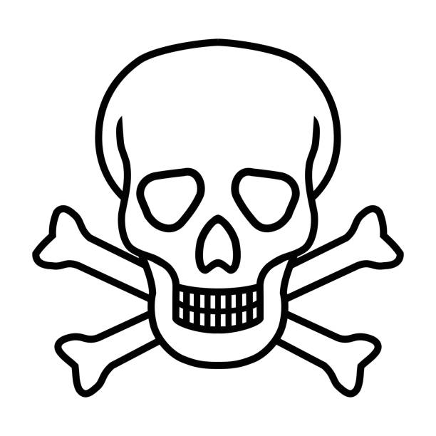 Detail Scull Image Nomer 12