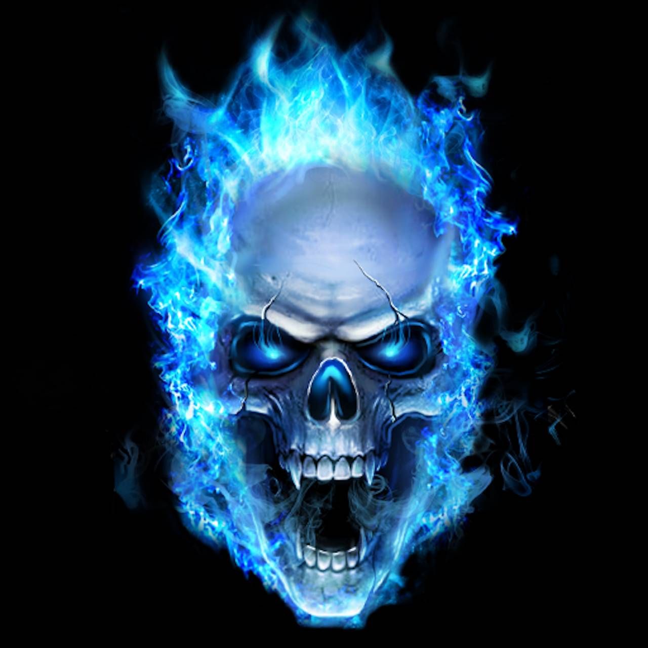 Detail Scull Image Nomer 13