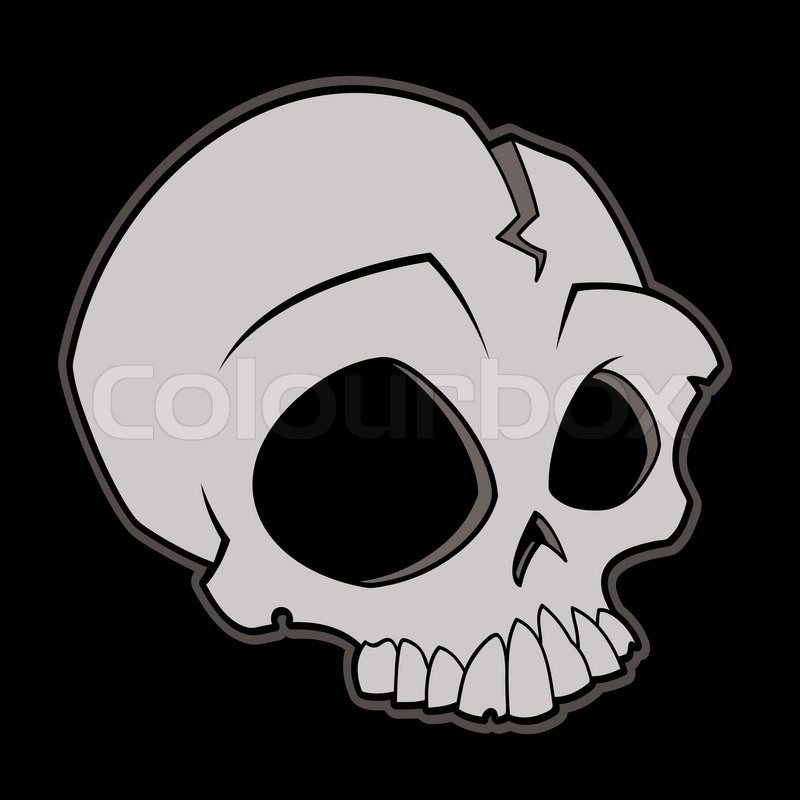Detail Scull Image Nomer 3