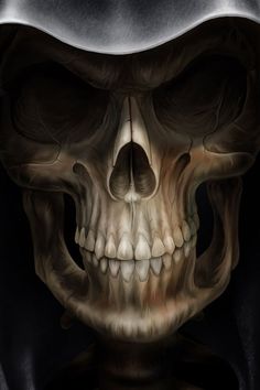 Detail Scull Image Nomer 22