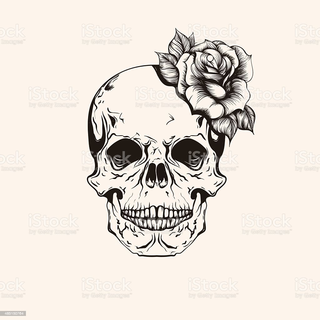 Detail Scull Image Nomer 23