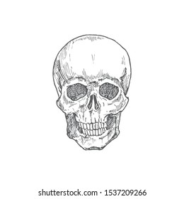 Detail Scull Image Nomer 24