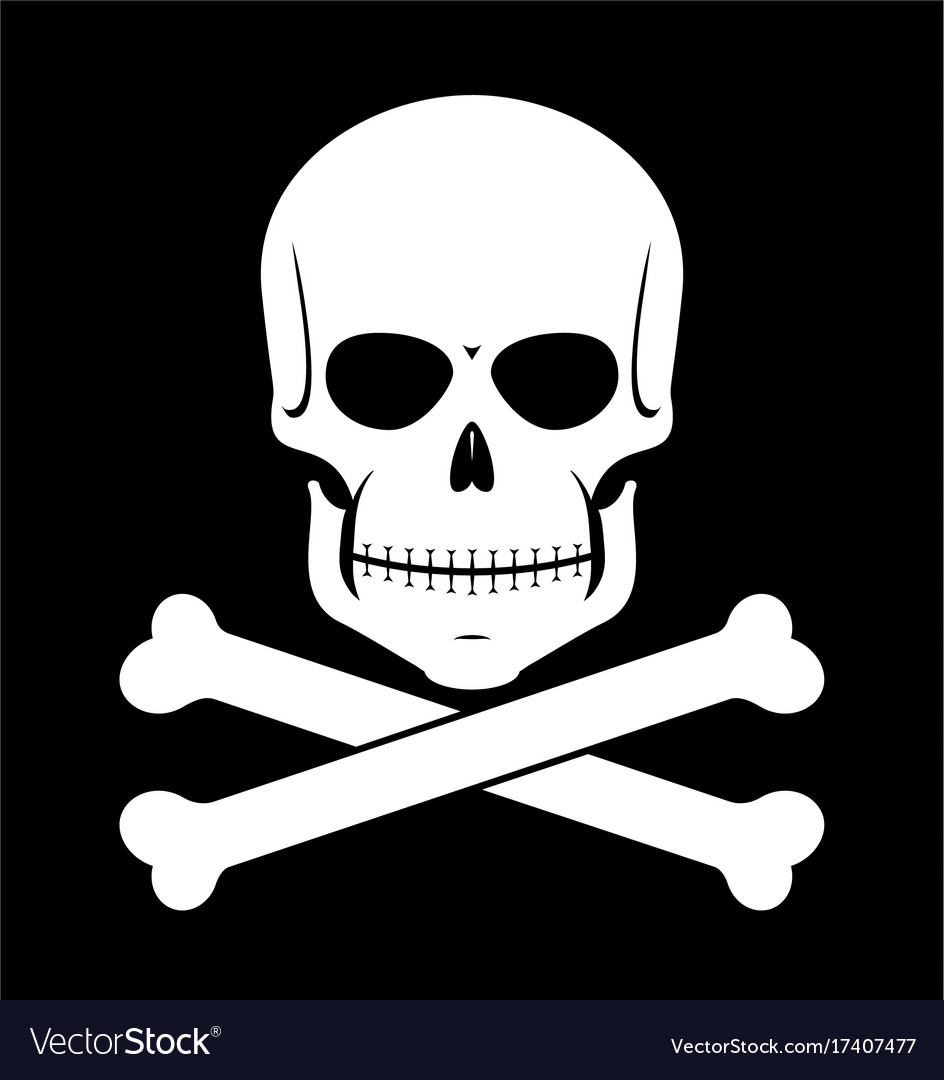 Detail Scull Image Nomer 29