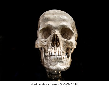Detail Scull Image Nomer 30