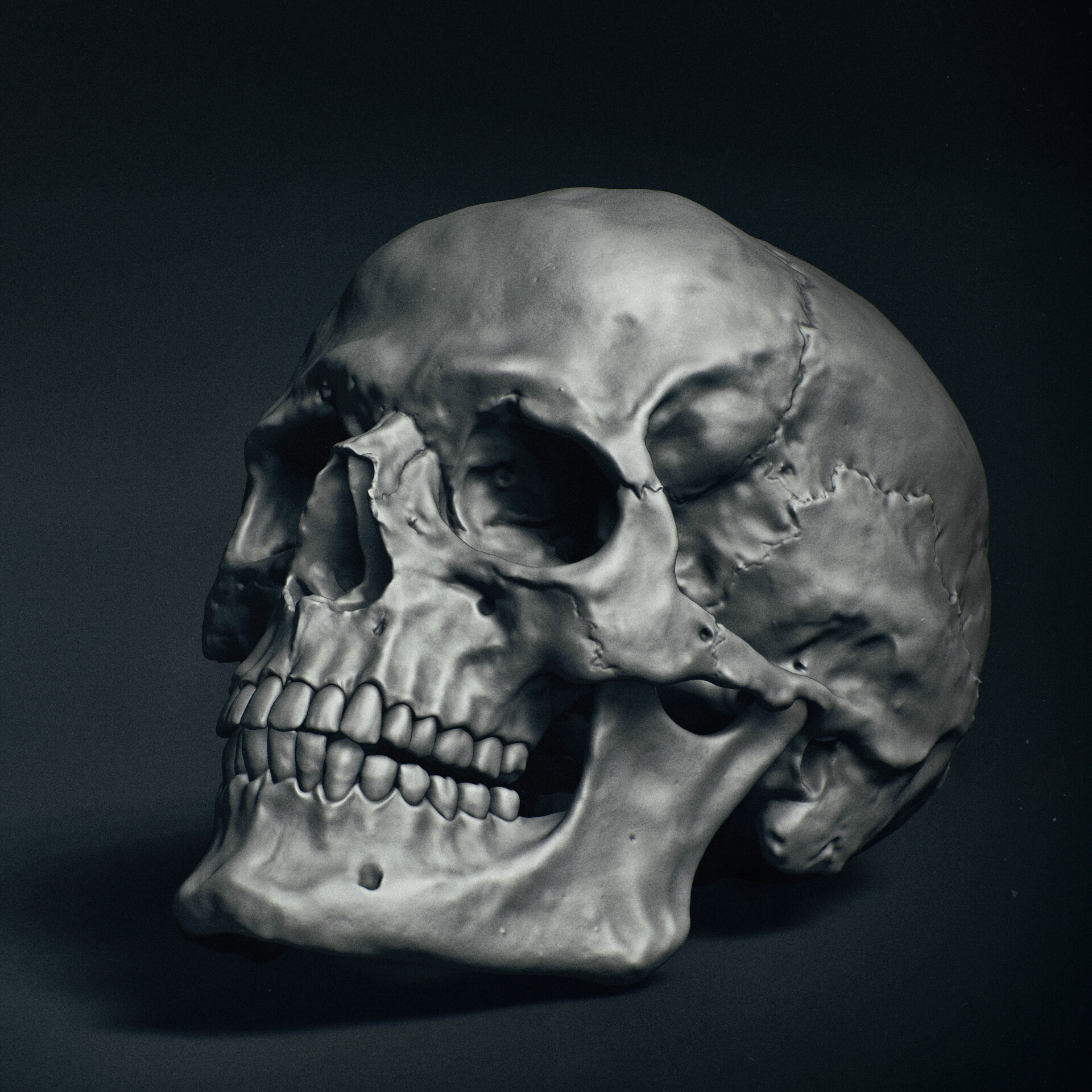 Detail Scull Image Nomer 31