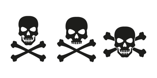 Detail Scull Image Nomer 34