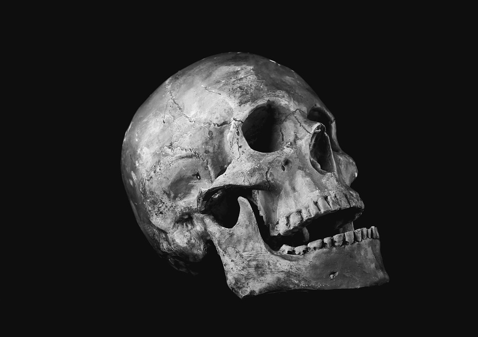 Detail Scull Image Nomer 40