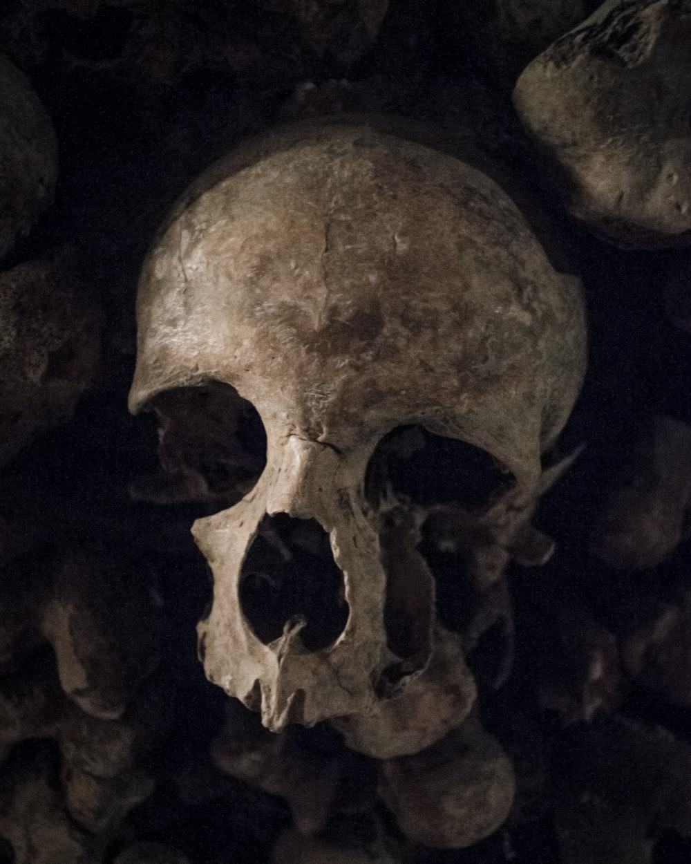 Detail Scull Image Nomer 49