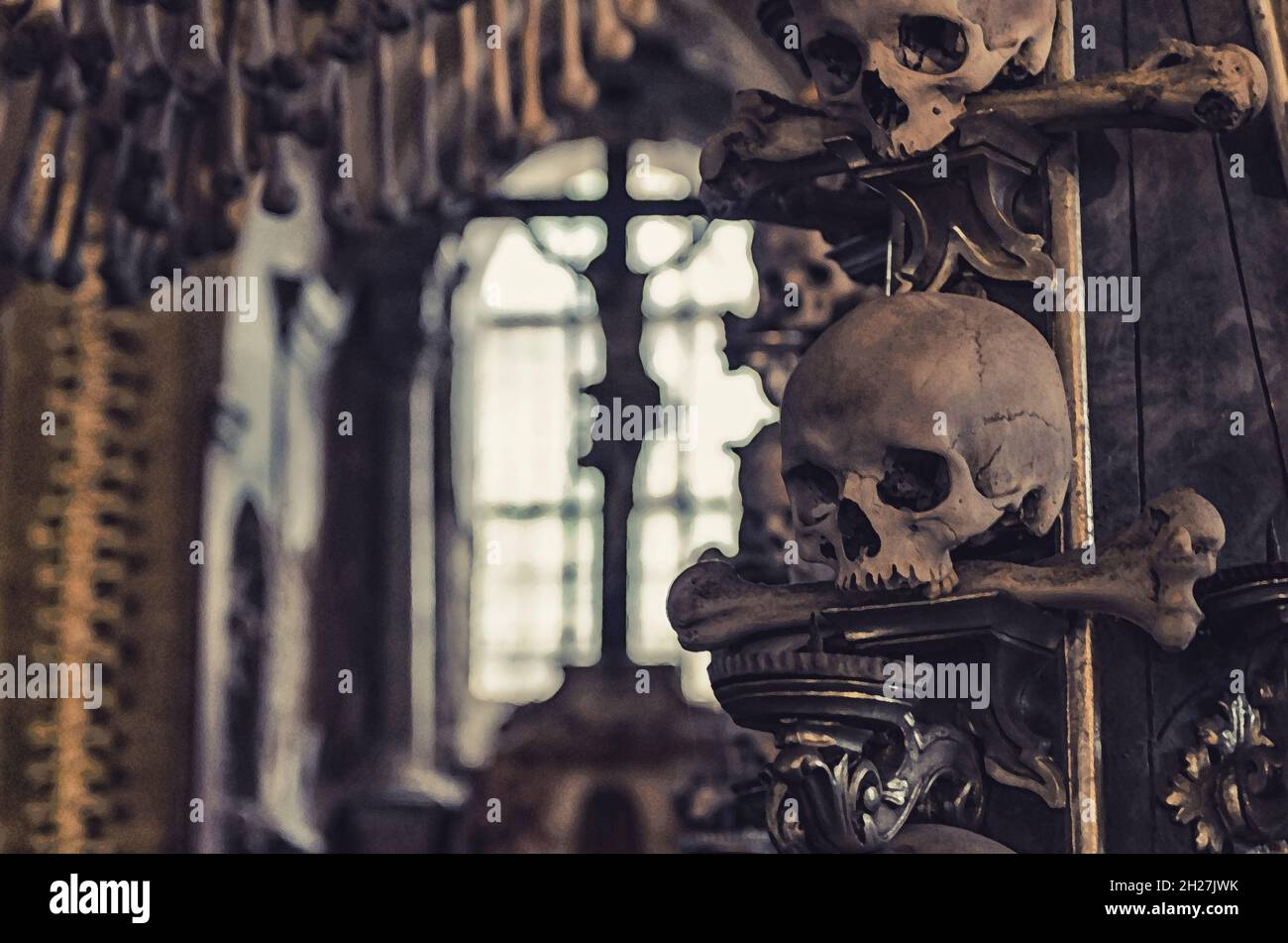 Detail Scull Image Nomer 50