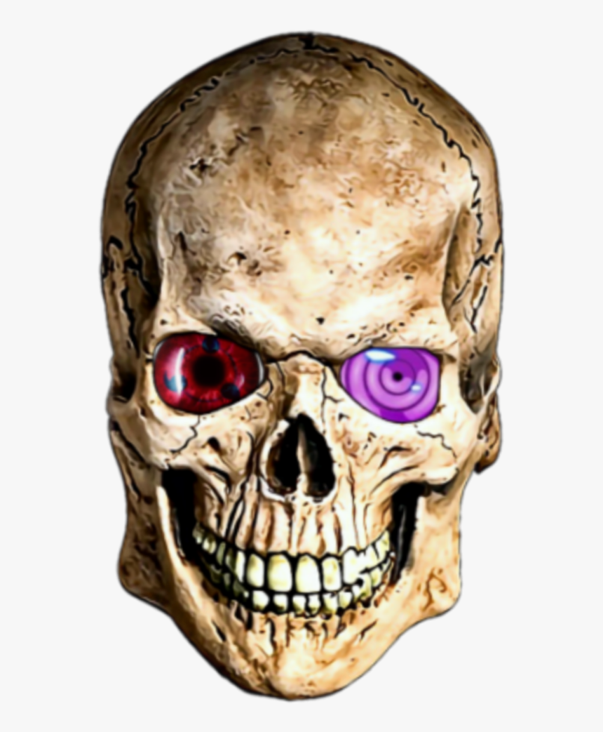 Detail Scull Image Nomer 51