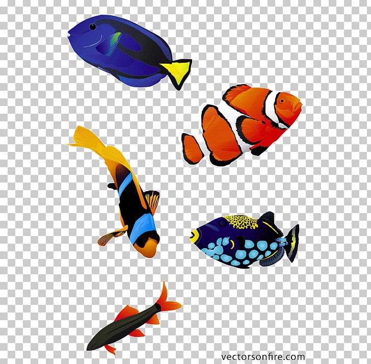 Detail Sea Fish Png Nomer 19