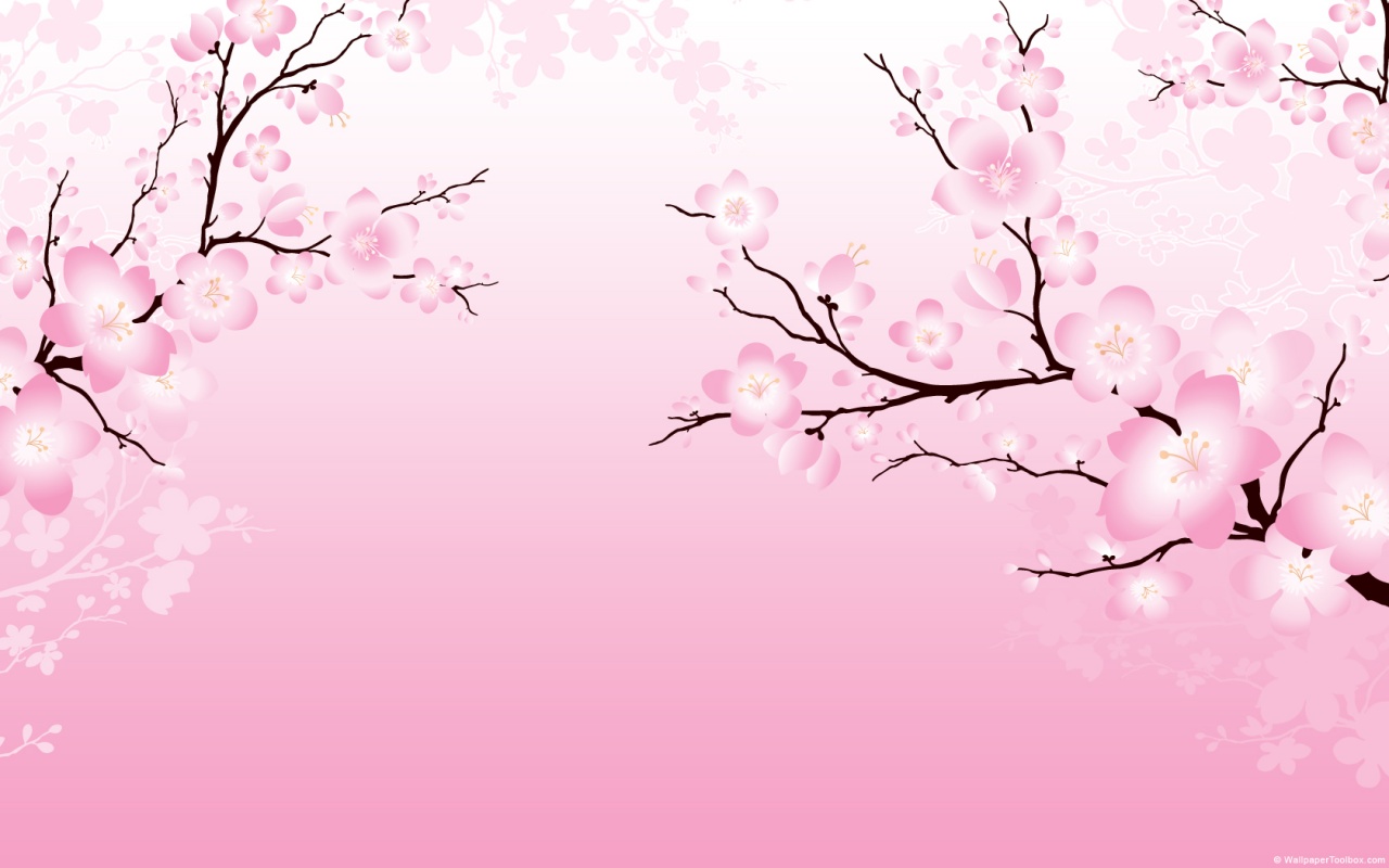 Detail Wallpaper Sakura Flower Nomer 36