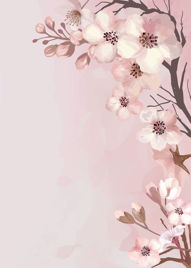 Wallpaper Sakura Flower Vector - KibrisPDR