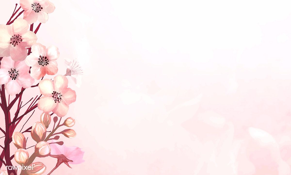 Detail Wallpaper Sakura Flower Vector Nomer 11