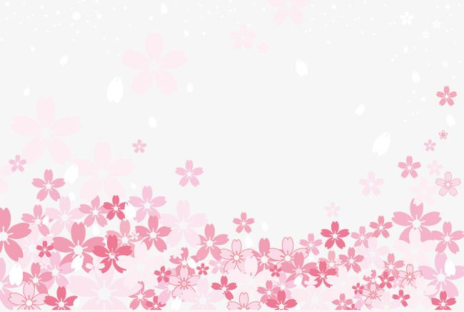 Detail Wallpaper Sakura Flower Vector Nomer 14