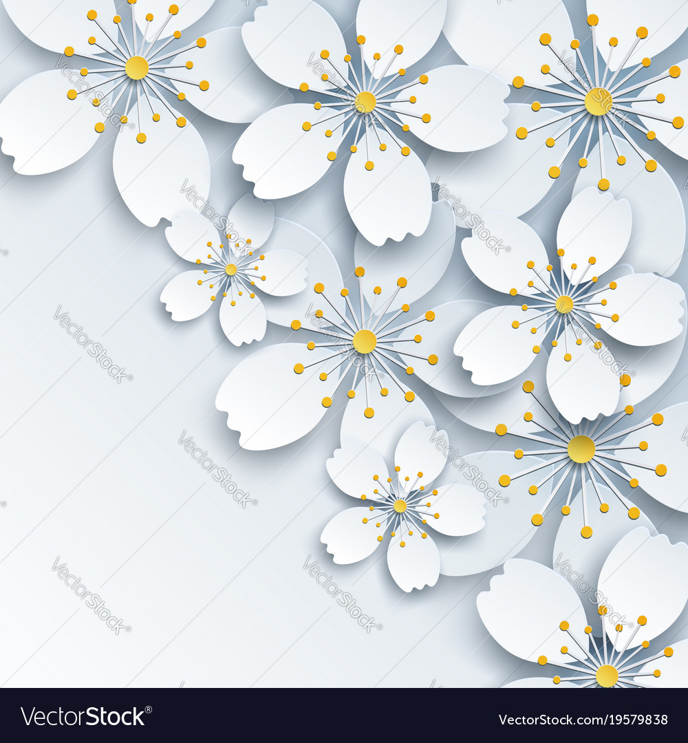 Detail Wallpaper Sakura Flower Vector Nomer 22