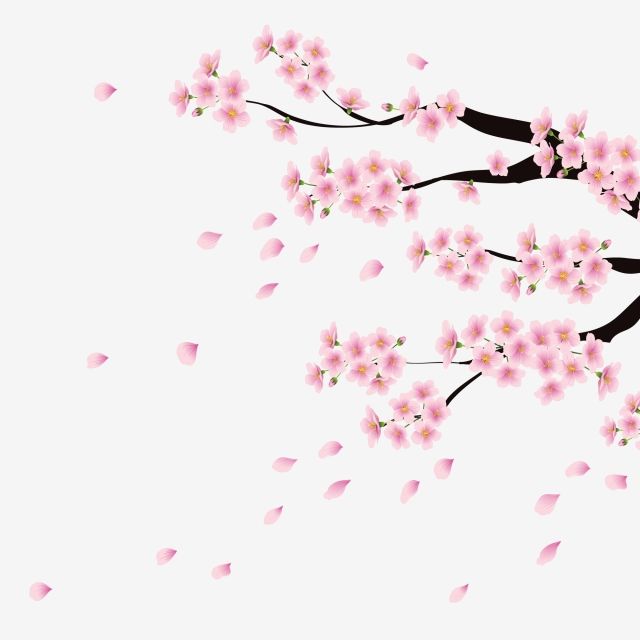 Detail Wallpaper Sakura Flower Vector Nomer 28