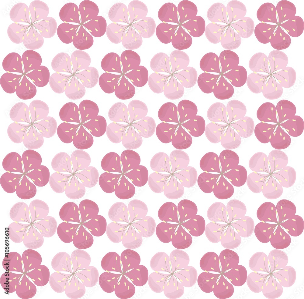 Detail Wallpaper Sakura Flower Vector Nomer 42