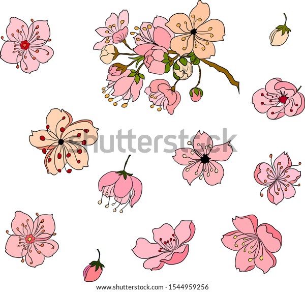 Detail Wallpaper Sakura Flower Vector Nomer 52