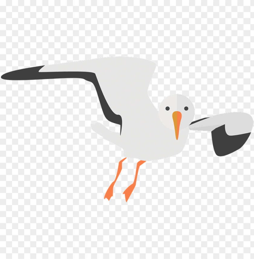 Detail Sea Gull Clipart Nomer 10