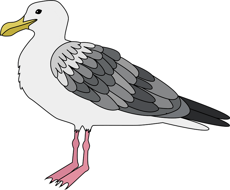 Detail Sea Gull Clipart Nomer 15