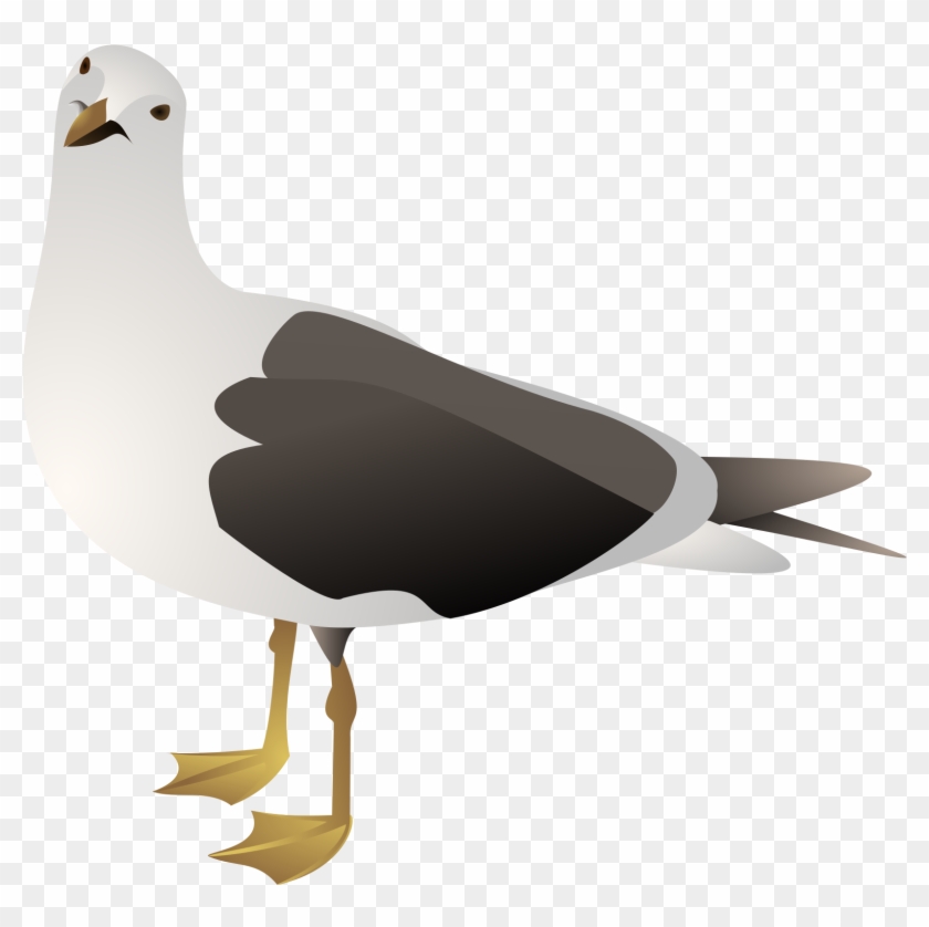 Detail Sea Gull Clipart Nomer 20