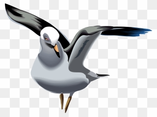 Detail Sea Gull Clipart Nomer 49