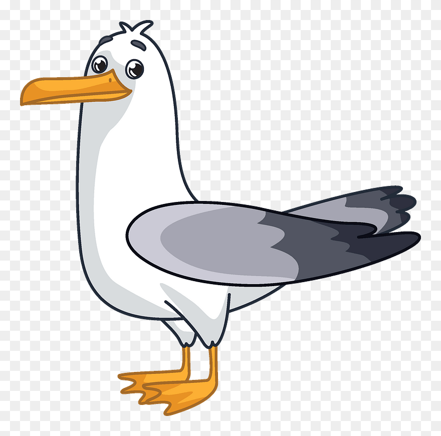 Detail Sea Gull Clipart Nomer 8