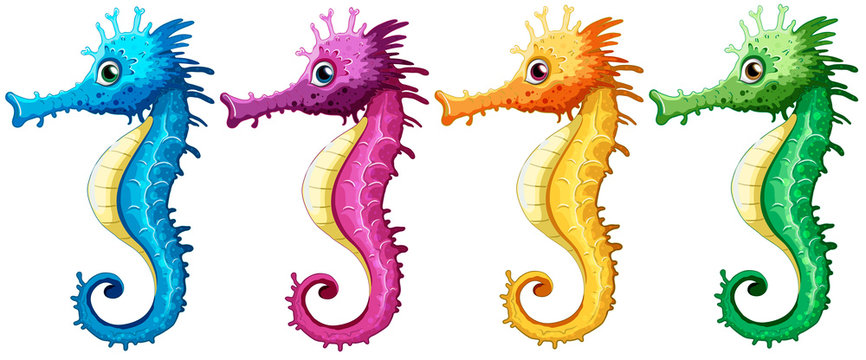 Detail Sea Horse Clipart Nomer 13