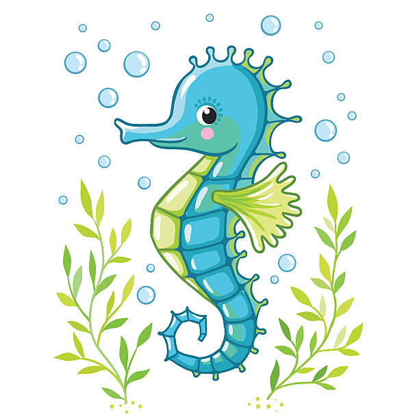 Detail Sea Horse Clipart Nomer 24