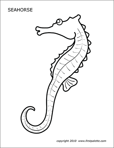 Detail Sea Horse Pic Nomer 39