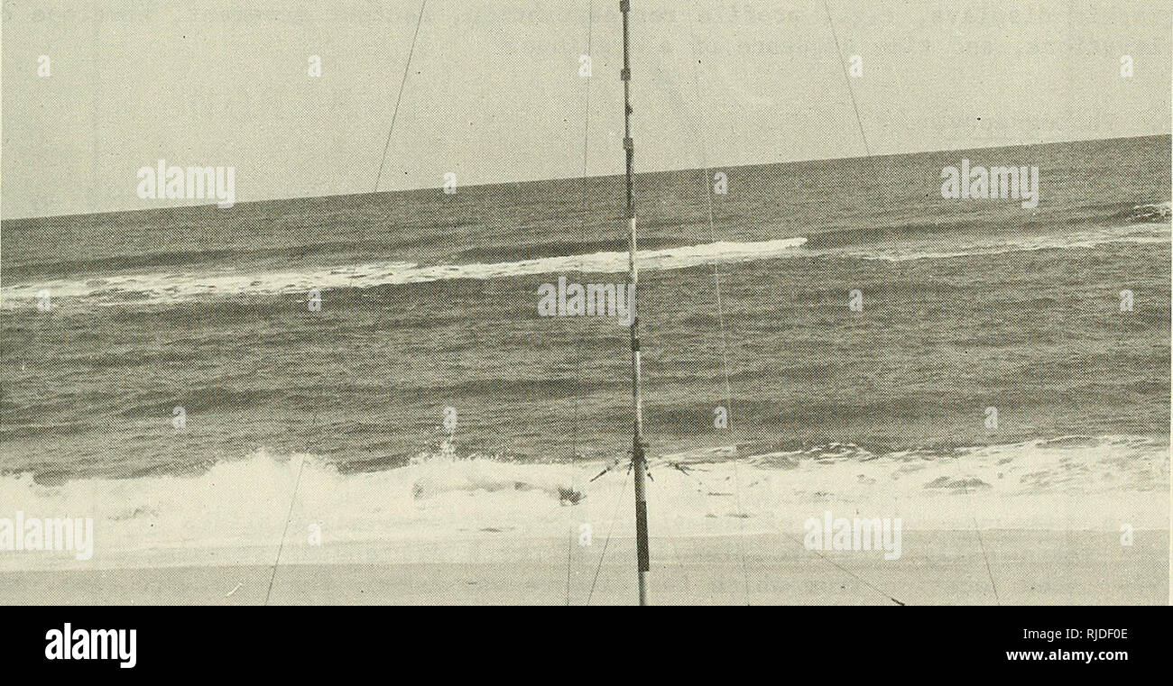 Detail Sea Scanner Sled Nomer 19