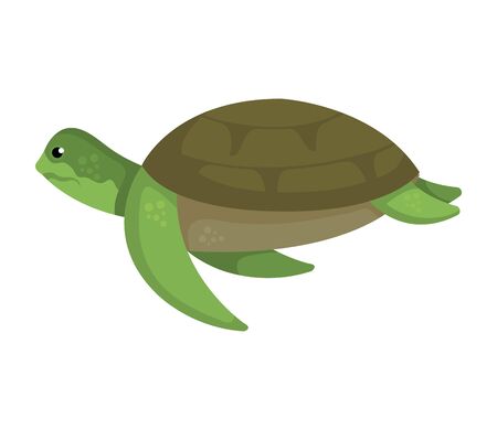 Sea Turtle Clipart Free - KibrisPDR