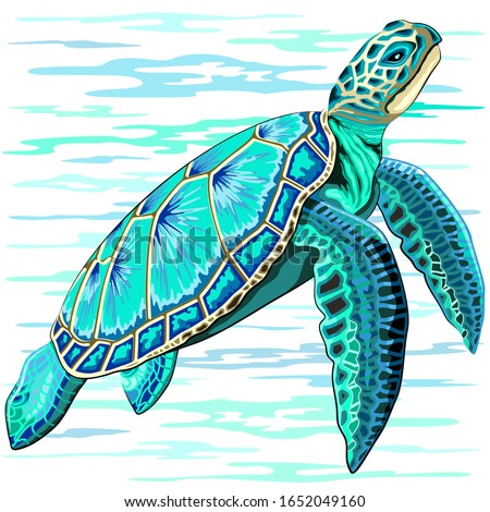 Detail Sea Turtle Clipart Free Nomer 10