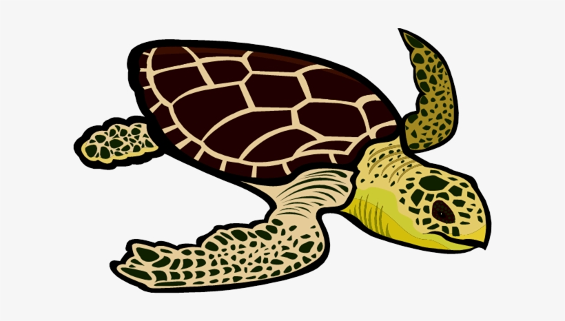 Detail Sea Turtle Clipart Free Nomer 20