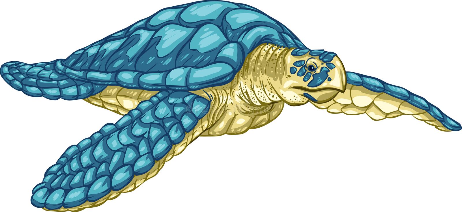 Detail Sea Turtle Clipart Free Nomer 22