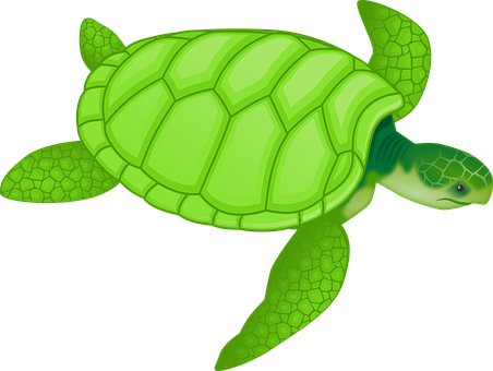 Detail Sea Turtle Clipart Free Nomer 3