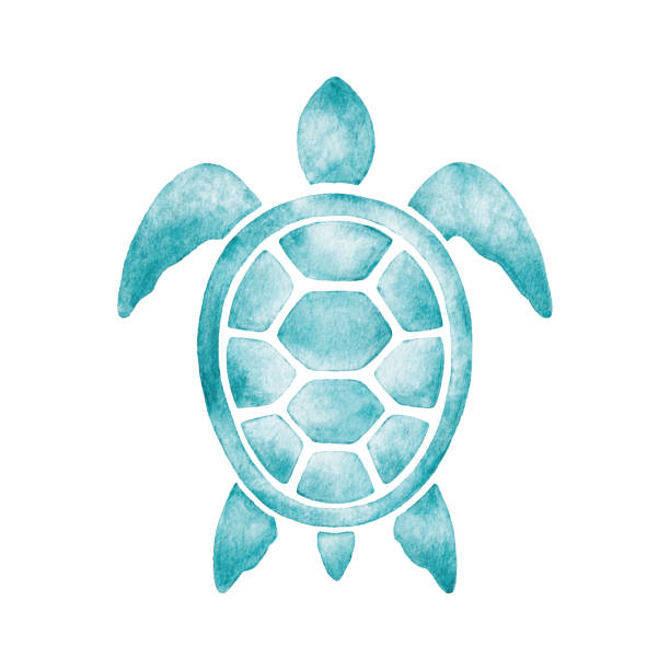 Detail Sea Turtle Clipart Free Nomer 28