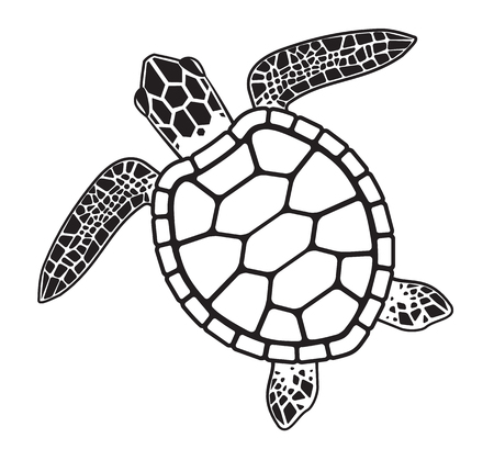 Detail Sea Turtle Clipart Free Nomer 41