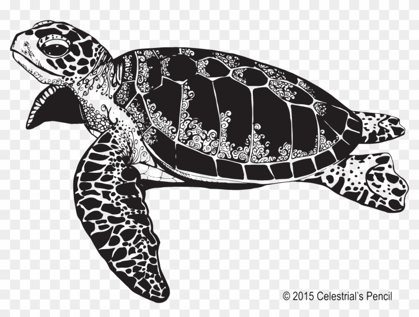 Detail Sea Turtle Clipart Free Nomer 51