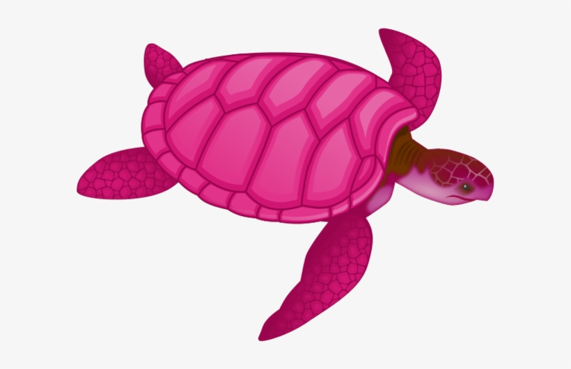 Detail Sea Turtle Clipart Png Nomer 44