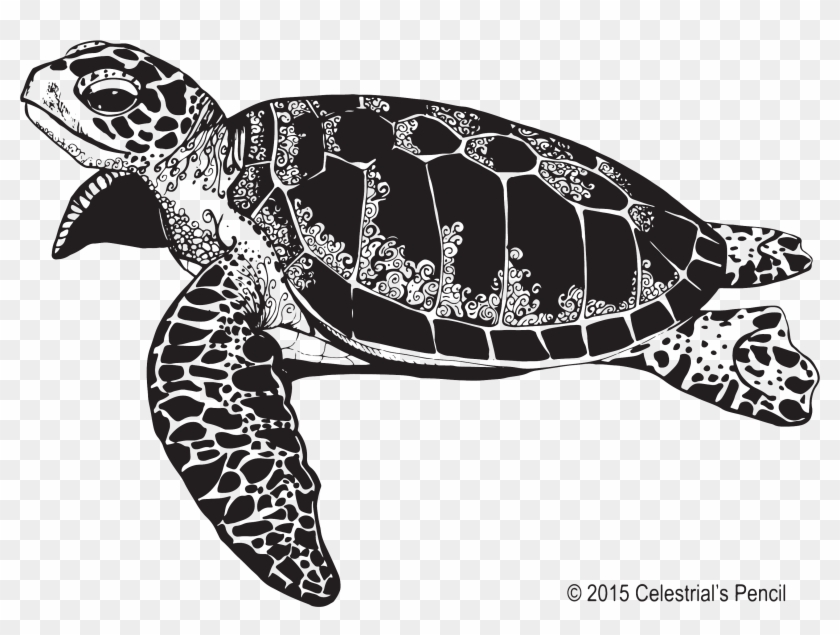 Detail Sea Turtle Clipart Png Nomer 47