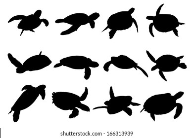 Detail Sea Turtle Clipart Silhouette Nomer 9