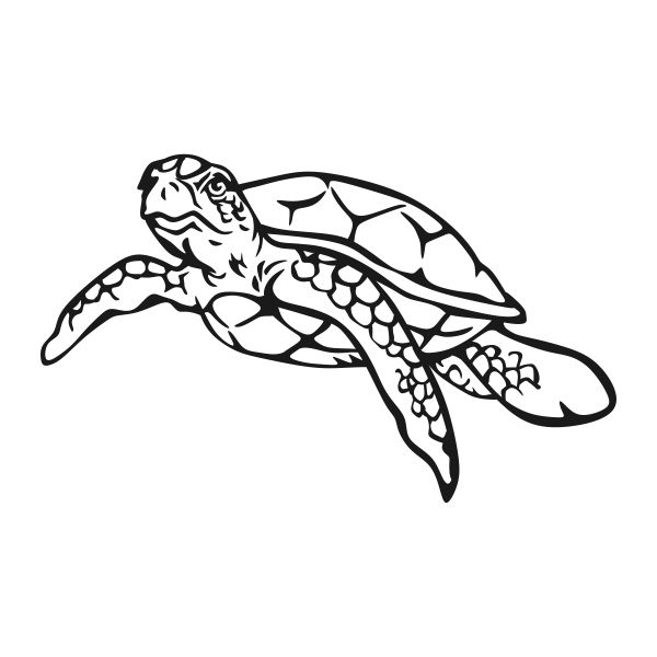 Detail Sea Turtle Clipart Silhouette Nomer 47