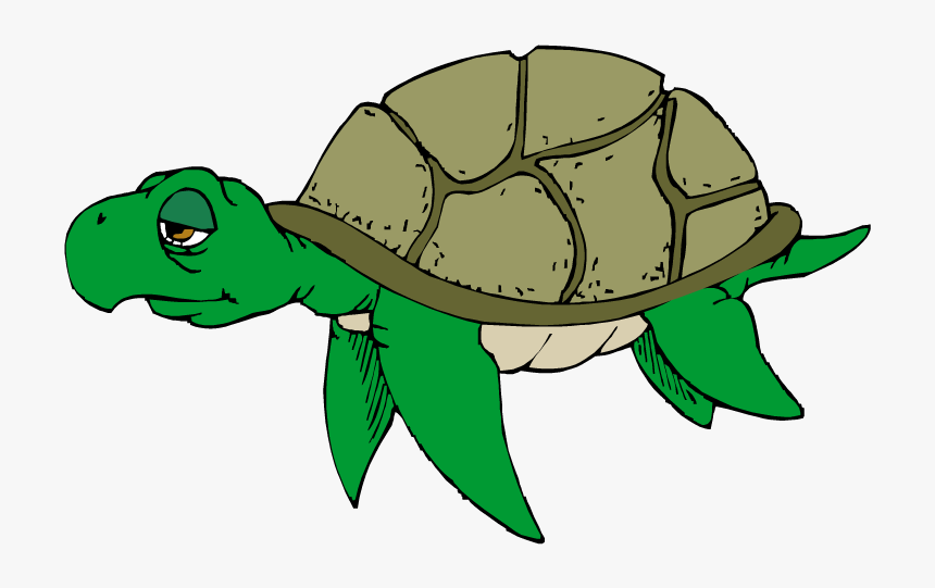 Detail Sea Turtle Clipart Transparent Nomer 18