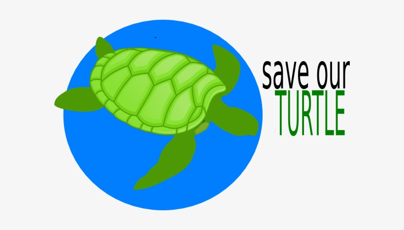 Detail Sea Turtle Clipart Transparent Nomer 27