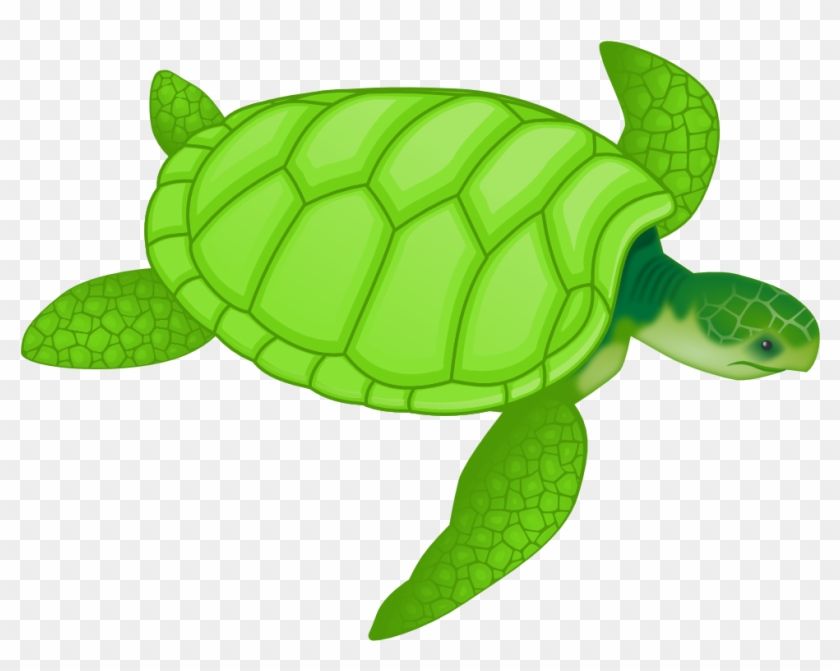 Detail Sea Turtle Clipart Transparent Nomer 5