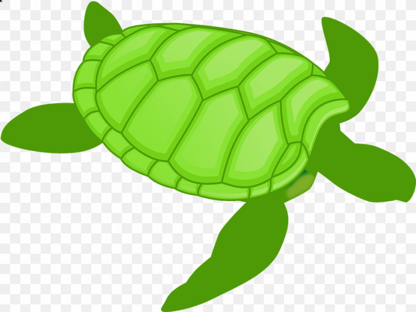 Detail Sea Turtle Clipart Transparent Nomer 36