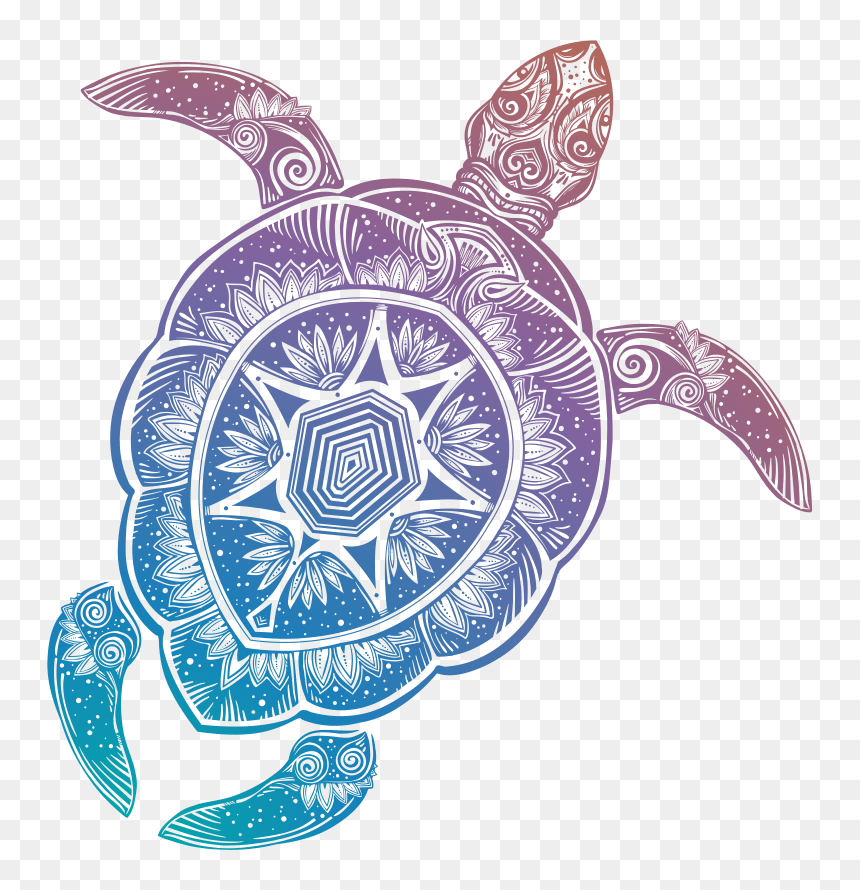 Detail Sea Turtle Clipart Transparent Nomer 46