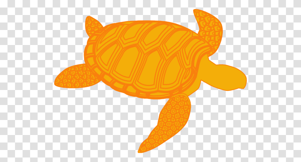 Detail Sea Turtle Clipart Transparent Nomer 50